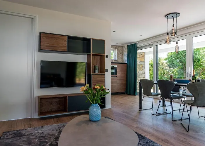 In Texel Near And Nature Reserve Villa *