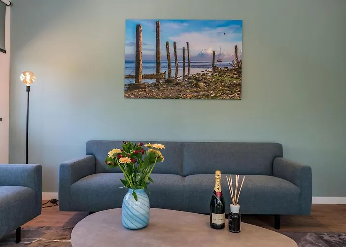 In Texel Near And Nature Reserve